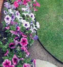 2mm Thick Heavy Duty Lawn Edging Black - 5" Deep -Garden Care Store 3mm edging 8 resize 67143.1521138049