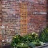 Forest - Heavy Duty Trellis 183 X 30cm - Alton Garden Centre
