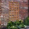 Forest - Heavy Duty Trellis 183 X 91cm - Alton Garden Centre
