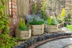 Forest - York Hexagonal Planter Set Of 3 Small - Alton Garden Centre
