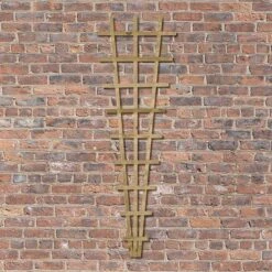 Forest - Traditional Fan Trellis 180 X 60cm - Alton Garden Centre 6 Forest - Traditional Fan Trellis 180 X 60cm - Alton Garden Centre -Garden Care Store TRADF62V3 5 1