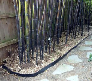 2mm Thick Bamboo Root Rhizome Barrier 60cm Deep 2 2mm Thick Bamboo Root Rhizome Barrier 60cm Deep - Image 2