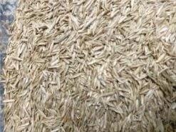 Odell Grass Seed