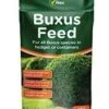 Buxus Feed