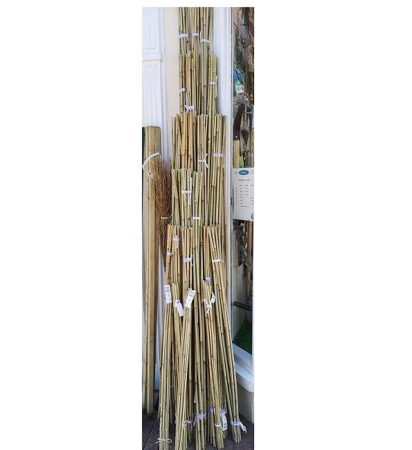 Garden Bamboo Canes 1 Garden Bamboo Canes